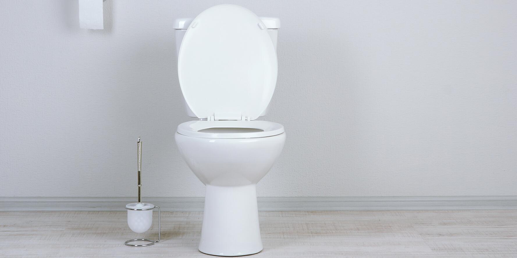 Pequenas dicas para resolver o entupimento do vaso sanitário